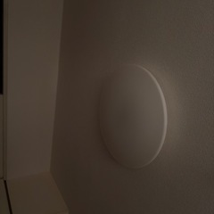 照明　リモコンありの画像