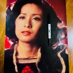 天地真理＊野口五郎＊小柳ルミ子　昭和レトロ　ビンテージ1970年代の画像