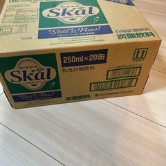 スコールの画像