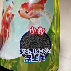 金魚の餌の画像