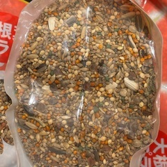 中型インコのエサ(期限間近)の画像