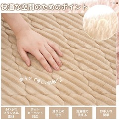 極厚25mmラグマット 100×140   新品
　の画像