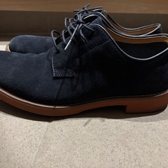 REGAL スウェード　25の画像