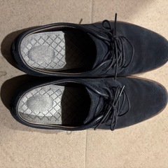 REGAL スウェード　25の画像