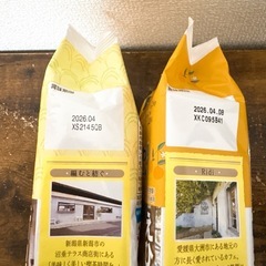 チョコパイ プチケーキの画像