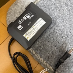 極美品 電気カーペット　KODEN 小さく畳める ホットマットの画像