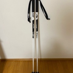 スキー板　フリースタイル　ツインチップ　全長160cmの画像