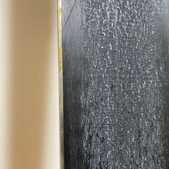 スキー板　フリースタイル　ツインチップ　全長160cmの画像