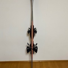 スキー板　フリースタイル　ツインチップ　全長160cmの画像