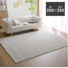 ✨LOWYA✨おしゃれカーペット250×200cm✨の画像