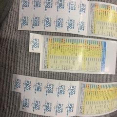 仙台八木山ベニーランド　入園チケット　乗り物チケットの画像