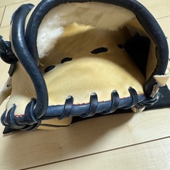 ミズノプロ　外野手用グローブ　(軟式)の画像