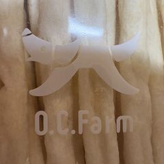 牛皮ガムSS　日本産　100本　賞味期限2026年10月01日　O.C.Farmの画像