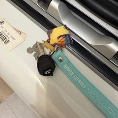 無料！28日10時
希望の画像