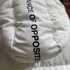 早い者勝ちRVCAの画像