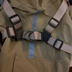 犬レインコートの画像