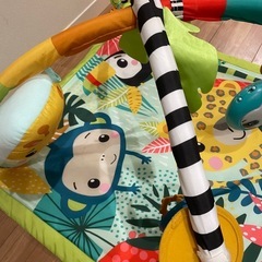 どうぶつたちと発見！レインフォレストジム　ベビージムの画像