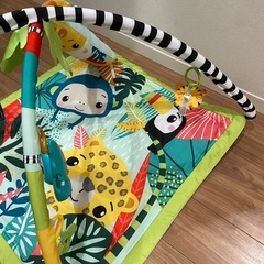 どうぶつたちと発見！レインフォレストジム　ベビージムの画像