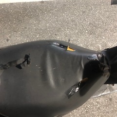 アドレスv50の画像