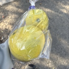  【ザボン約2個】本庄産　野菜　無農薬　販売　まとめ売り　セット　の画像