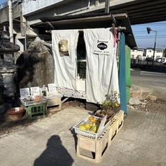  【ザボン約2個】本庄産　野菜　無農薬　販売　まとめ売り　セット　の画像