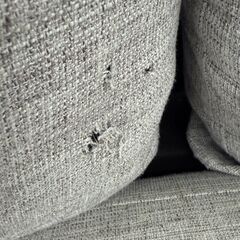 ✨️ジモティー割引✨️【ジャングルジャングル堺初芝店】　3人用ソファー　堺市（東区　西区　北区　南区　堺区　美原区）高石市　泉大津市　忠岡町　和泉市　松原市　大阪狭山市の画像