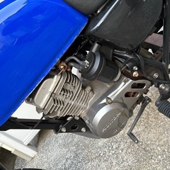 エイプ50 車体の画像