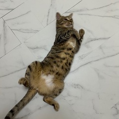 2024.06月生まれ 女の子