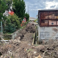 廃材　マキ　薪　キャンプ　木材　の画像