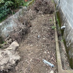 廃材　マキ　薪　キャンプ　木材　の画像