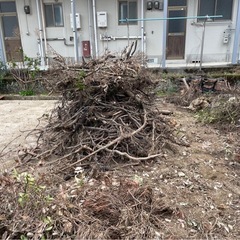 廃材　マキ　薪　キャンプ　木材　の画像