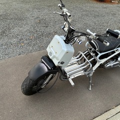 ズーマーの画像