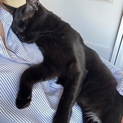 2024.06月生まれ 男の子