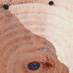 素焼きの鉢　盆栽鉢4〜10号（中古美品）の画像