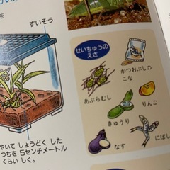 あるなつ、あき、ふゆ図鑑の画像