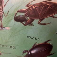 あるなつ、あき、ふゆ図鑑の画像