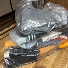 ズボン、Tシャツの画像