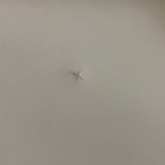 イケアテーブル150cmの画像