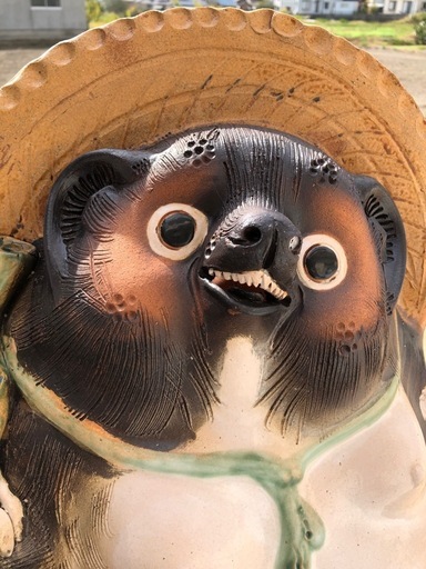 タヌキ