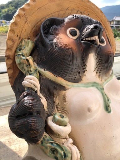 タヌキ
