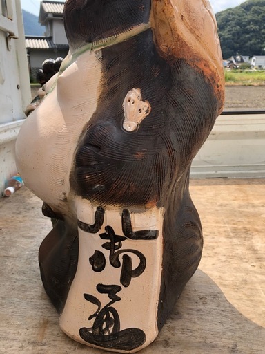 タヌキ