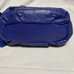 オーストリッチのバックの画像