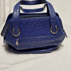 オーストリッチのバックの画像