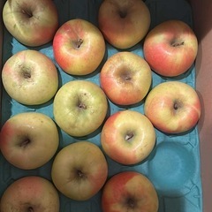 りんごぐんま名月の画像