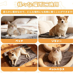🐾【新品未使用】YUYorchidia ペット用ホットカーペット 45×70cm 猫 犬 小動物 ホットマット ヒーターマット 12段階タイマー 温度調節 防水 噛み付き防止 カバー付き ペットヒーター 冬 寒さ対策の画像