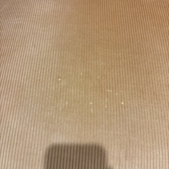 コーデュロイ　ソファーの画像