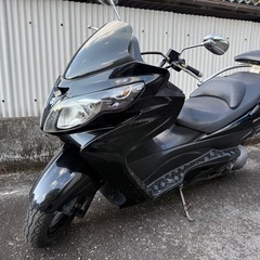 スカイウェイブ250 タイプSメンテ済みの画像