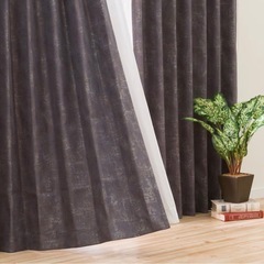 カーテン100×135 2枚の画像
