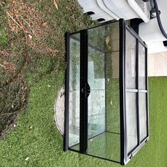 グラステラリウム6045の画像