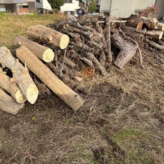 丸太無料🪵0円　薪などにいかがですかの画像